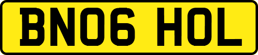 BN06HOL