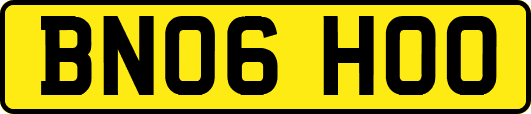 BN06HOO