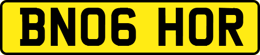 BN06HOR