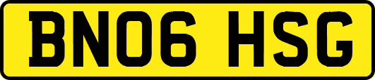 BN06HSG