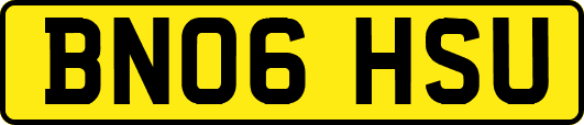 BN06HSU