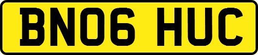 BN06HUC