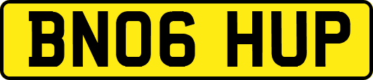 BN06HUP