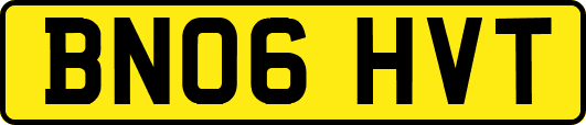 BN06HVT