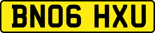 BN06HXU