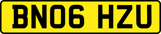 BN06HZU