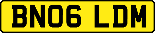 BN06LDM