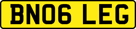 BN06LEG