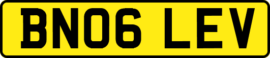 BN06LEV