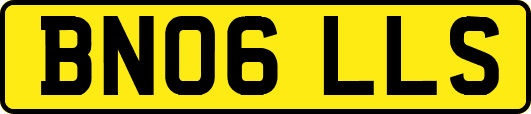 BN06LLS