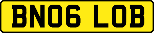 BN06LOB
