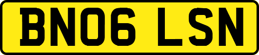 BN06LSN