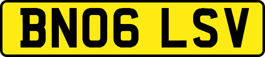 BN06LSV