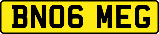 BN06MEG