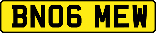 BN06MEW