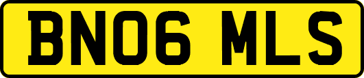 BN06MLS