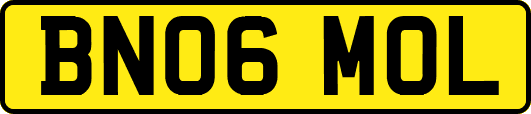 BN06MOL