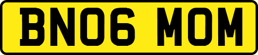 BN06MOM