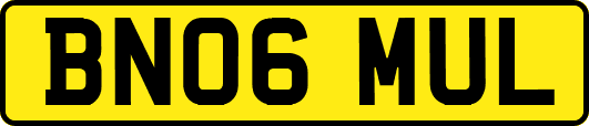 BN06MUL
