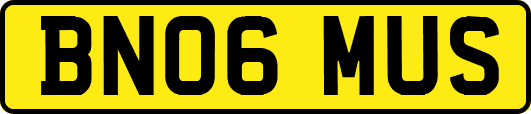 BN06MUS