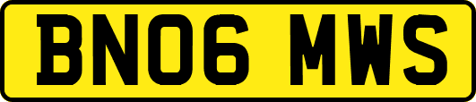 BN06MWS