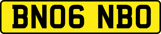 BN06NBO