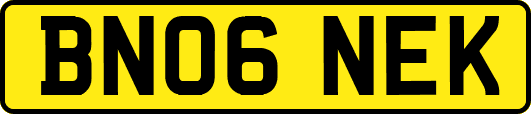 BN06NEK