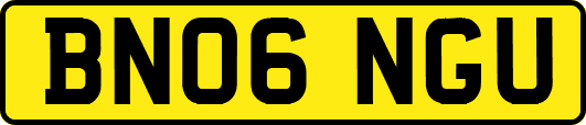 BN06NGU