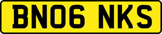 BN06NKS