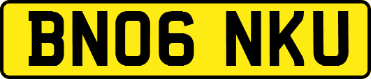 BN06NKU