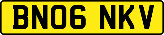 BN06NKV