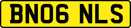 BN06NLS