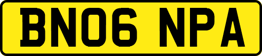 BN06NPA