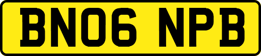 BN06NPB