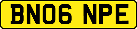 BN06NPE