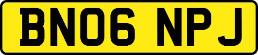 BN06NPJ