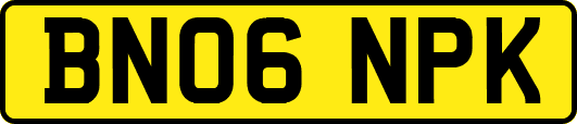 BN06NPK