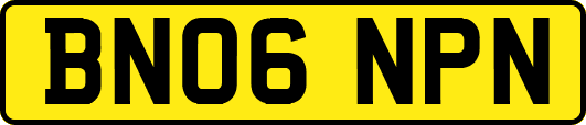 BN06NPN