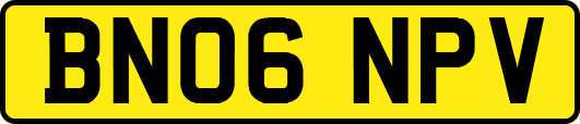 BN06NPV
