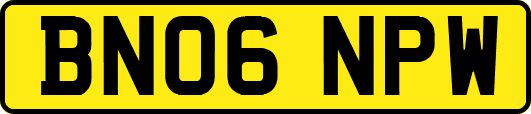 BN06NPW