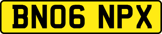 BN06NPX
