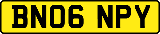 BN06NPY