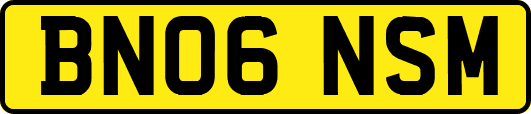 BN06NSM