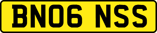 BN06NSS