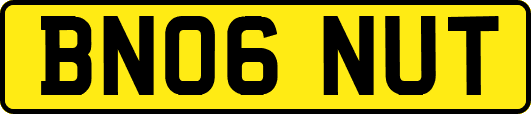 BN06NUT