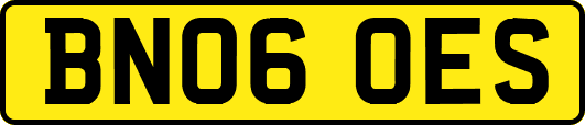 BN06OES