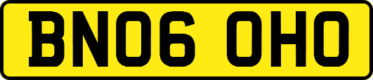 BN06OHO