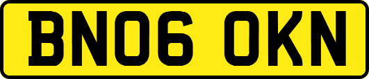 BN06OKN