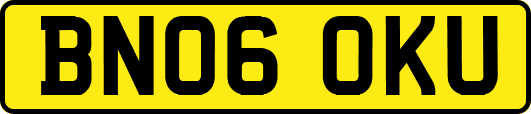 BN06OKU