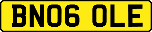 BN06OLE